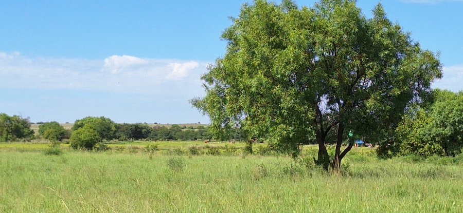 3 Bedroom Property for Sale in Koster North West